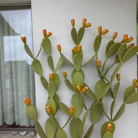 Nonna - Sehnsucht Nach Dem Sueden *