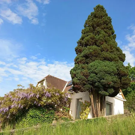 Nonna - Sehnsucht Nach Dem Sueden