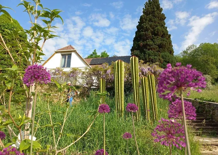 Nyaraló Nonna - Sehnsucht Nach Dem Sueden