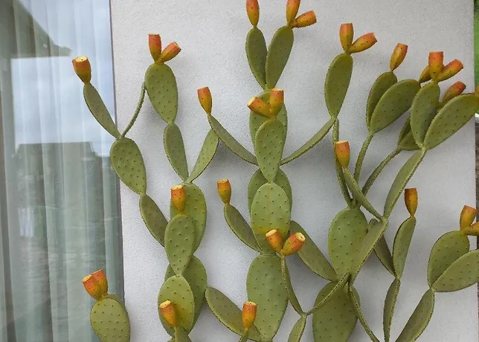 Nonna - Sehnsucht Nach Dem Sueden *