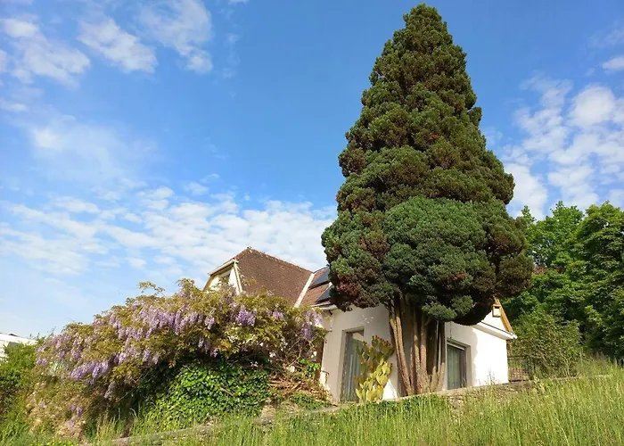 Nonna - Sehnsucht Nach Dem Sueden