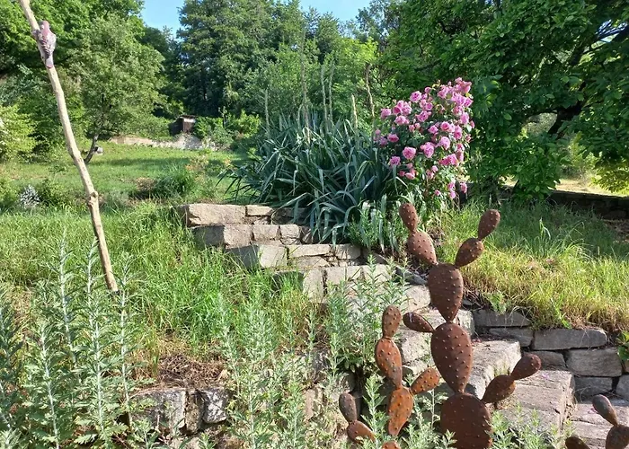 Nyaraló Nonna - Sehnsucht Nach Dem Sueden